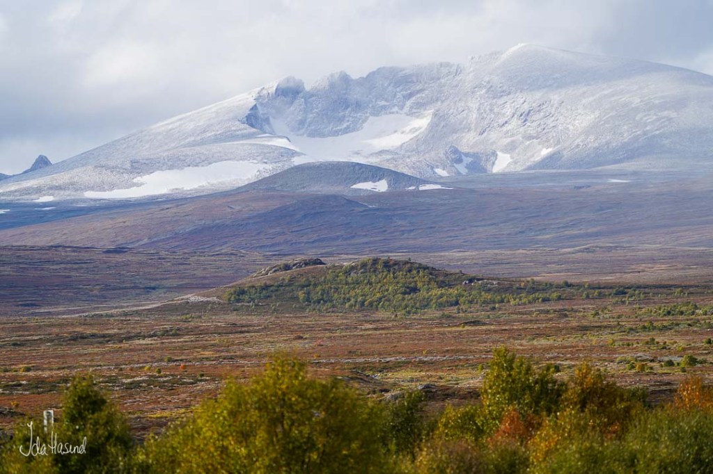 Snøhetta på Dovre