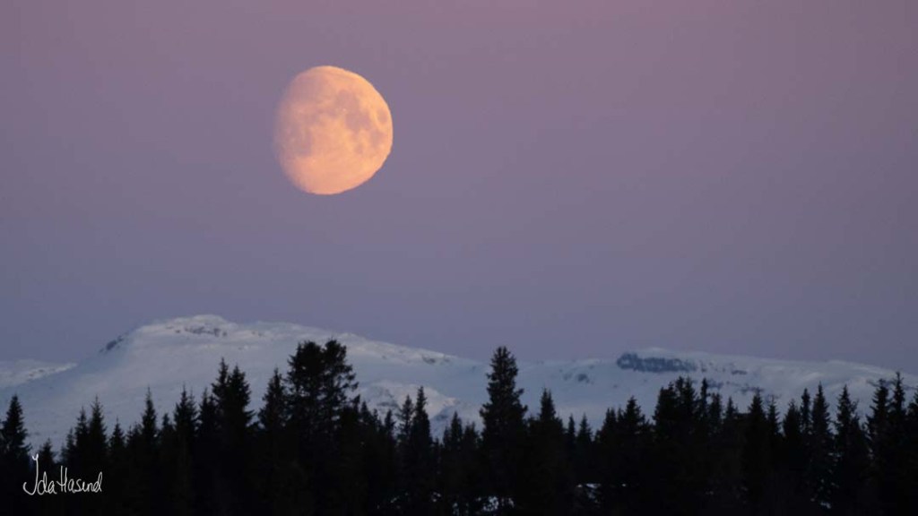 Månelyst over Øyerfjellet
